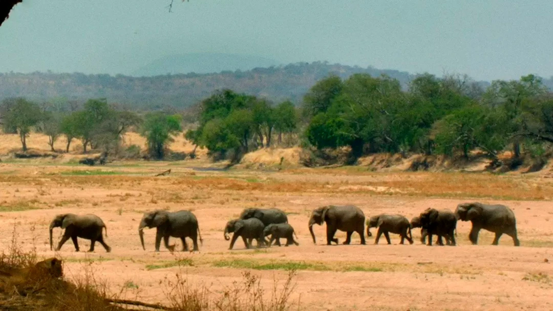 Фильм Последнее убежище