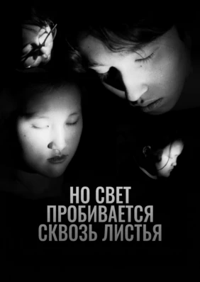 Но через листья пробивается свет