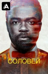 Соловей