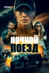 Ночной поезд