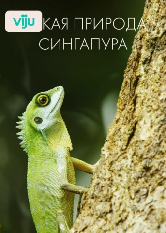 1 серия