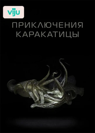 Приключения каракатицы