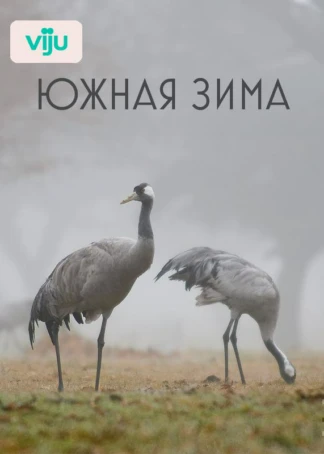 Южная зима