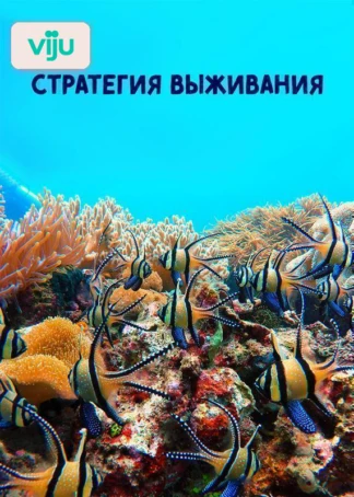 Стратегия выживания