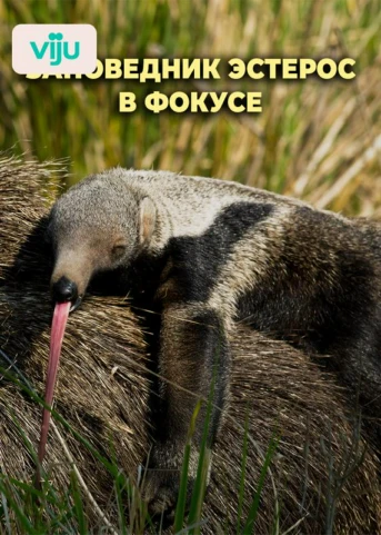1 серия