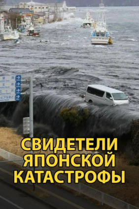 Свидетели японской катастрофы