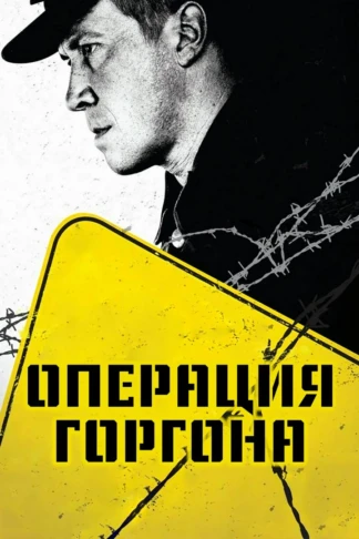 Операция «Горгона»