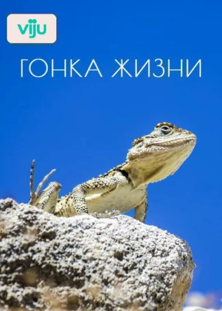 Гонка жизни