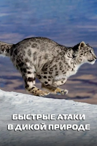 Быстрые атаки в дикой природе