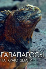 Галапагосы. На краю земли