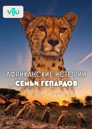 Африканские истории семьи гепардов