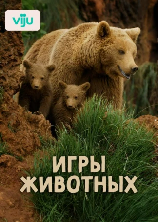 Игры животных