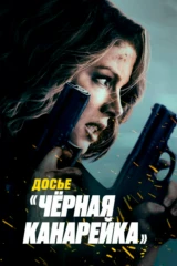 Досье 'Чёрная канарейка'