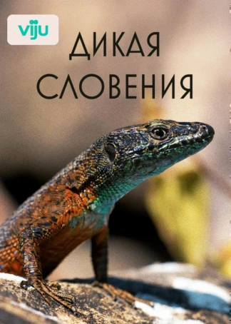 Дикая Словения