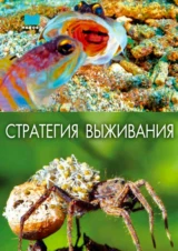 Стратегия выживания