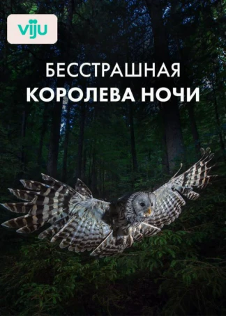 Бесстрашная королева ночи