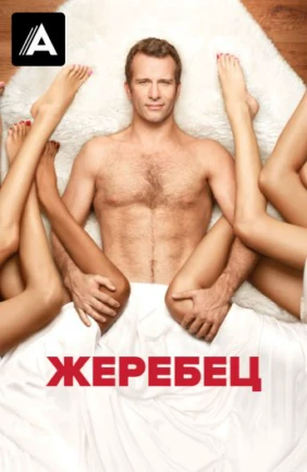 Жеребец