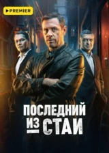 Последний из стаи