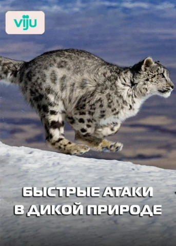 1 серия