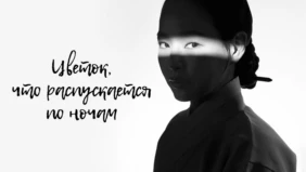 Трейлер 1