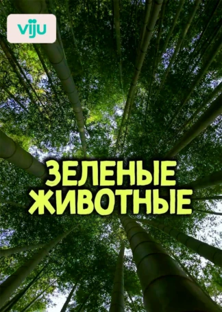 Зеленые Животные