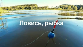 11-я серия