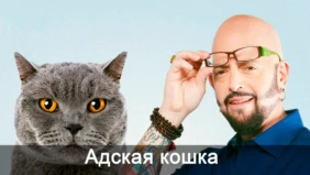 Трейлер 1