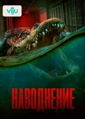 Наводнение
