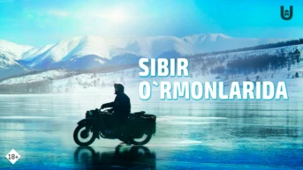 Sibir o`rmonlarida