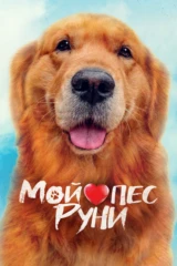 Мой пес Руни