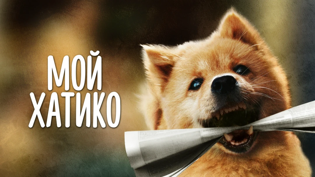 Фильм Mening Xatikom