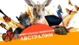 1-я серия