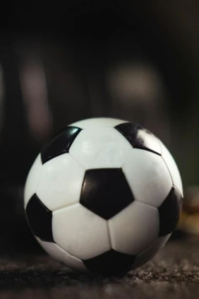 Futbol. Fransiya Chempionati