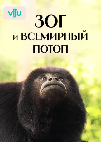 Зог и всемирный потоп