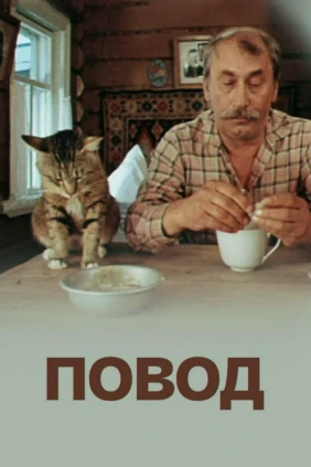 Повод