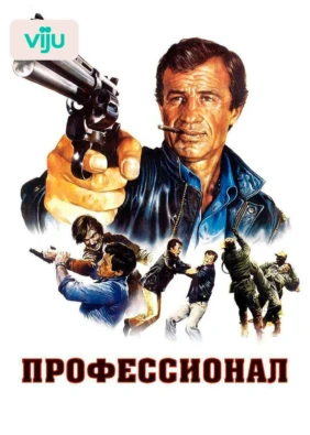 Профессионал
