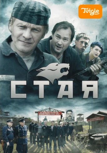 Стая Серия 1