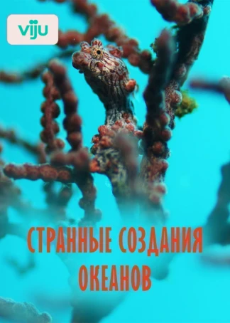 Странные создания океанов