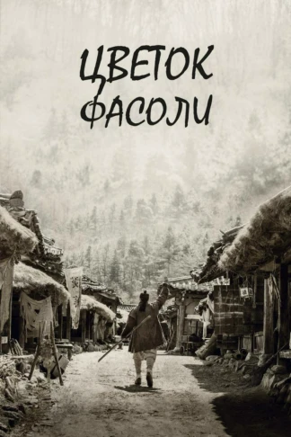 Цветок фасоли