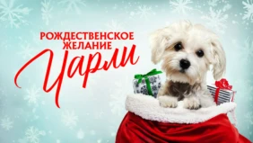 Трейлер 1