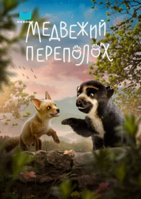 Медвежий переполох