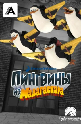 Пингвины из Мадагаскара