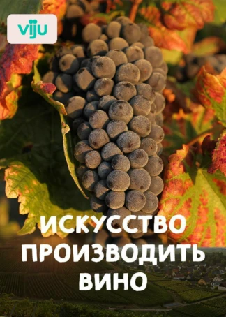Искусство производить вино