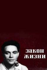 Закон жизни