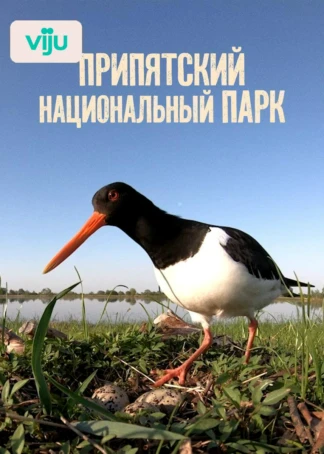 Припятский национальный парк