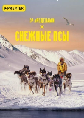 Снежные псы