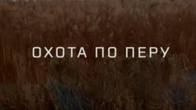Осенний вальдшнеп