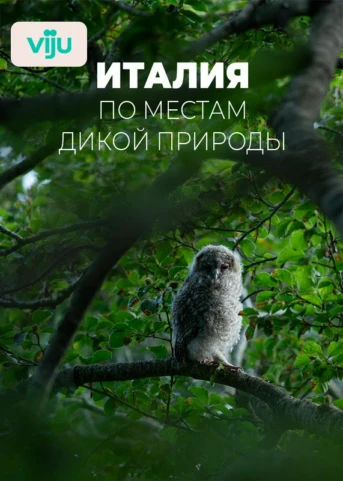 1 серия