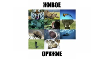 Смертельный яд