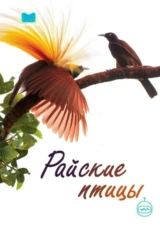 Райские птицы